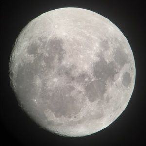 Meet your Posher, Quinn